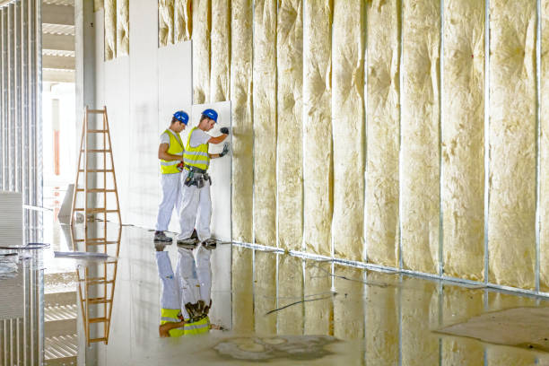 Best Types of Insulation in Copperopolis, CA